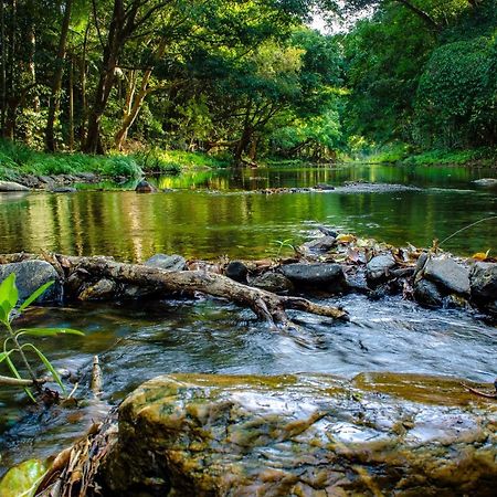 Cairns Homestead Redlynch Pet And Family Friendly Eksteriør billede