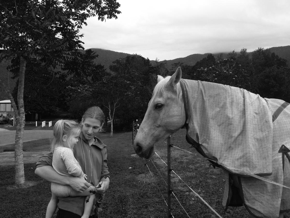 Cairns Homestead Redlynch Pet And Family Friendly Eksteriør billede