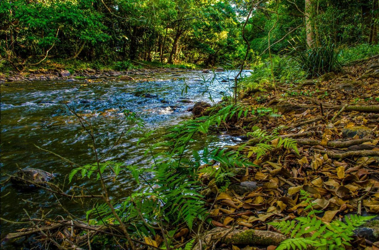 Cairns Homestead Redlynch Pet And Family Friendly Eksteriør billede